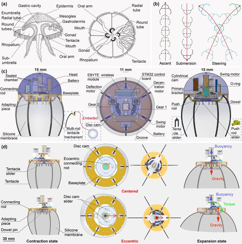 Overview-R4-IJRR (1)