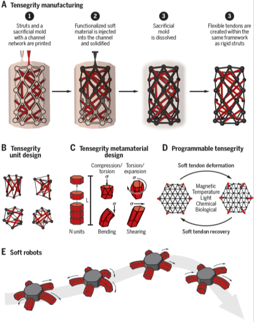 圖片包含 游戲機(jī)描述已自動(dòng)生成