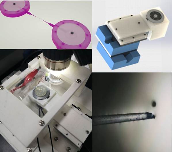 微信圖片_20200309174018